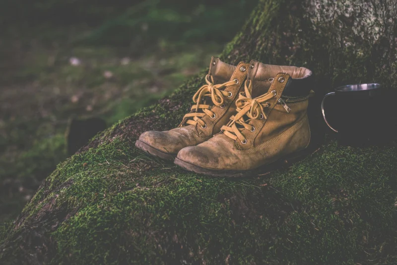 Botas Hiking TrailMaster - botas de trekking marrones con detalles de cordones sobre superficie musgosa